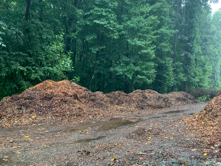 Mulch Ado About Nothing?