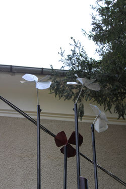 ПОСОКИ / DIRECTIONS