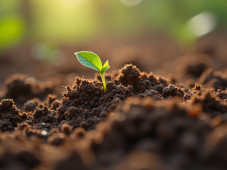 Estudo de Microorganismos na Agricultura da Amazônia Sul
