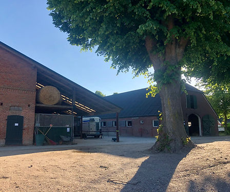 Immental-Events-Feiern in Ostholstein