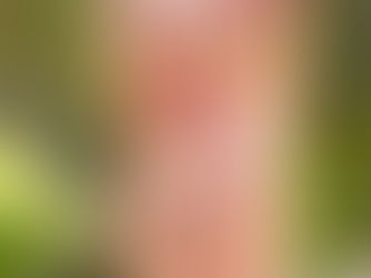 Navi Mumbai Escort: Premium Call Girl Services