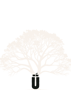Grey Neutral Monochrome Modern & Professional About Us Instagram Post.png
