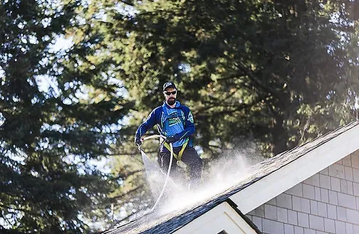 roof cleaning surrey-2.webp