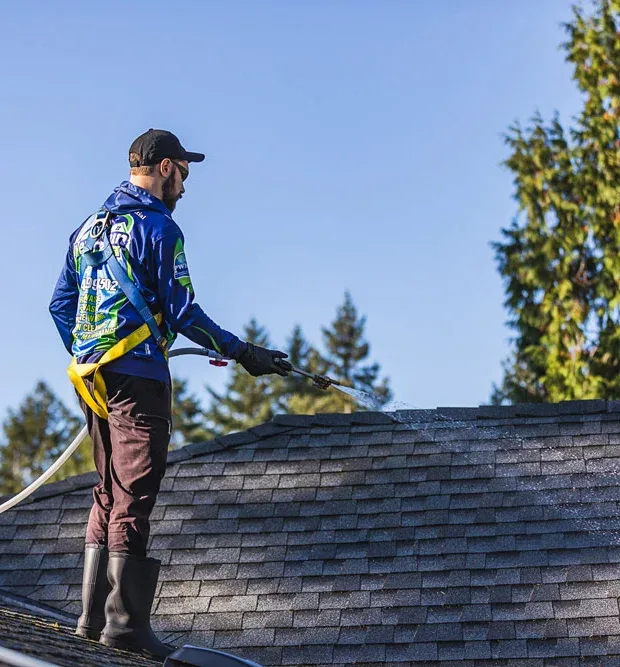 commercial roof cleaning.webp