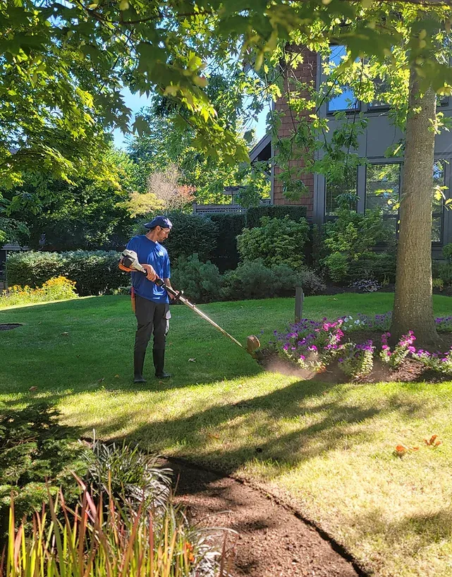roof cleaning surrey bc.webp