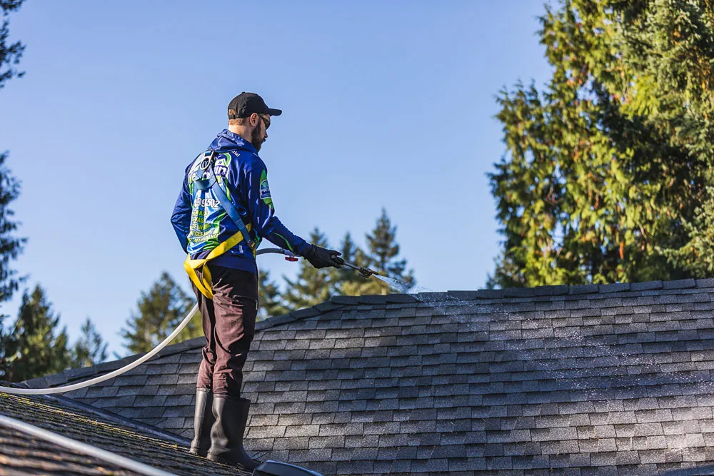 roof cleaning surrey-4.webp