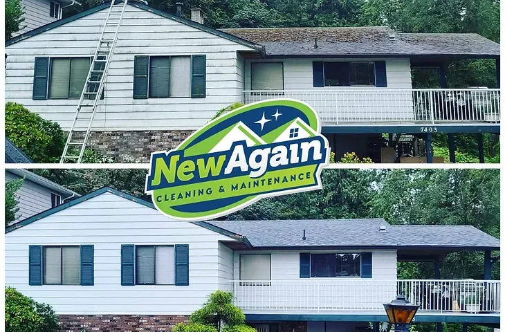 Professional gutter cleaning services in surrey