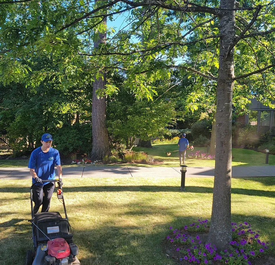 Commercial property maintenance in Surrey