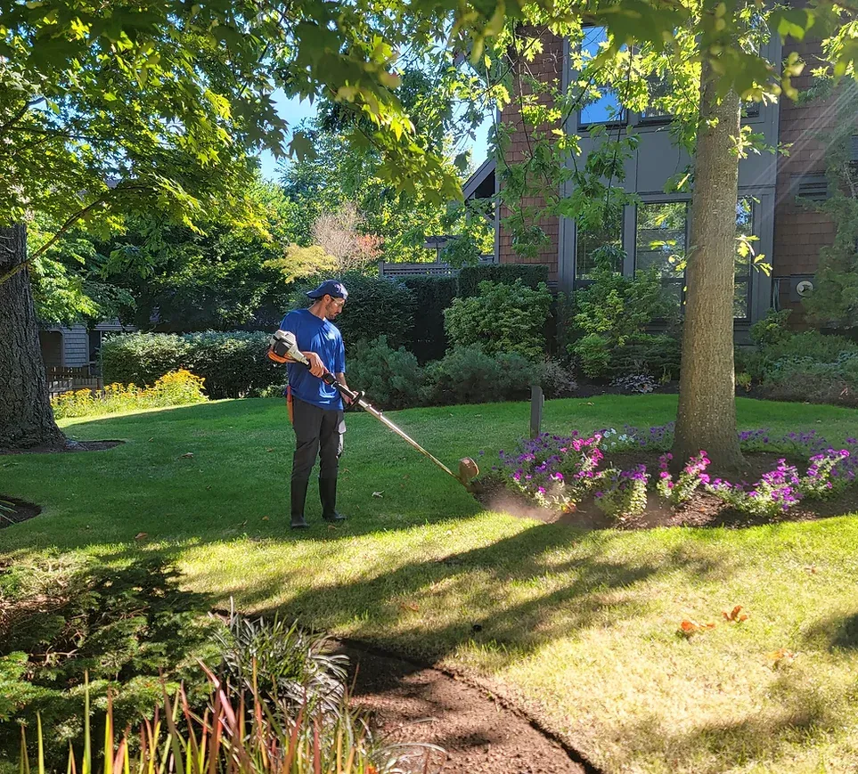 surrey lawn services.webp