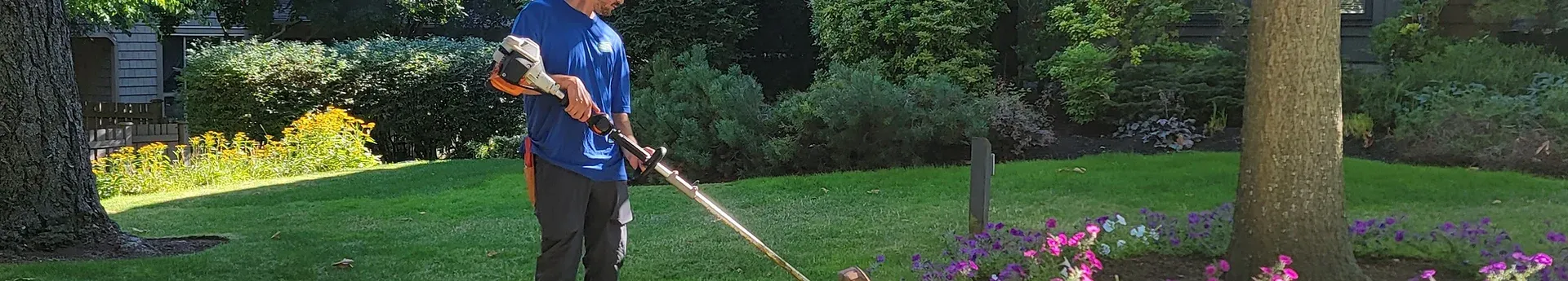 lawn care services surrey.webp