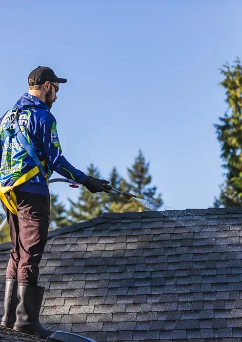 Professional pressure washing in Surrey