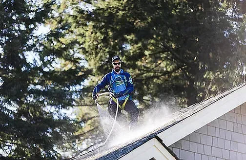 surrey roof cleaning