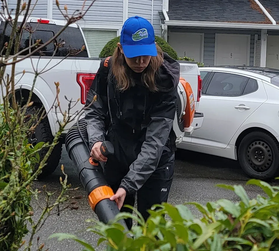 lawn care services surrey-2.webp