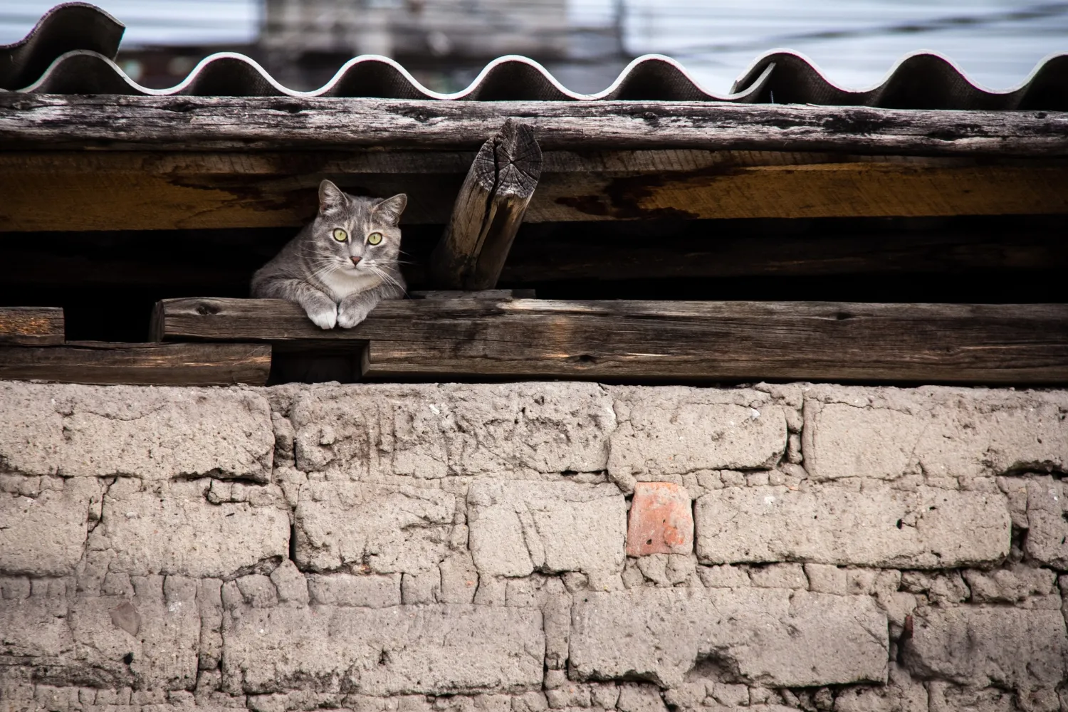 Signs of Gutter-Related Water Damage