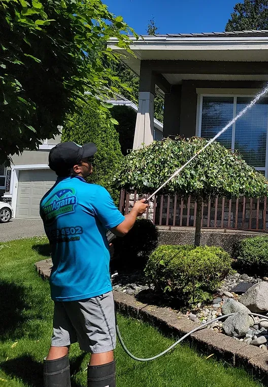 Best Exterior Cleaning Company in Surrey BC