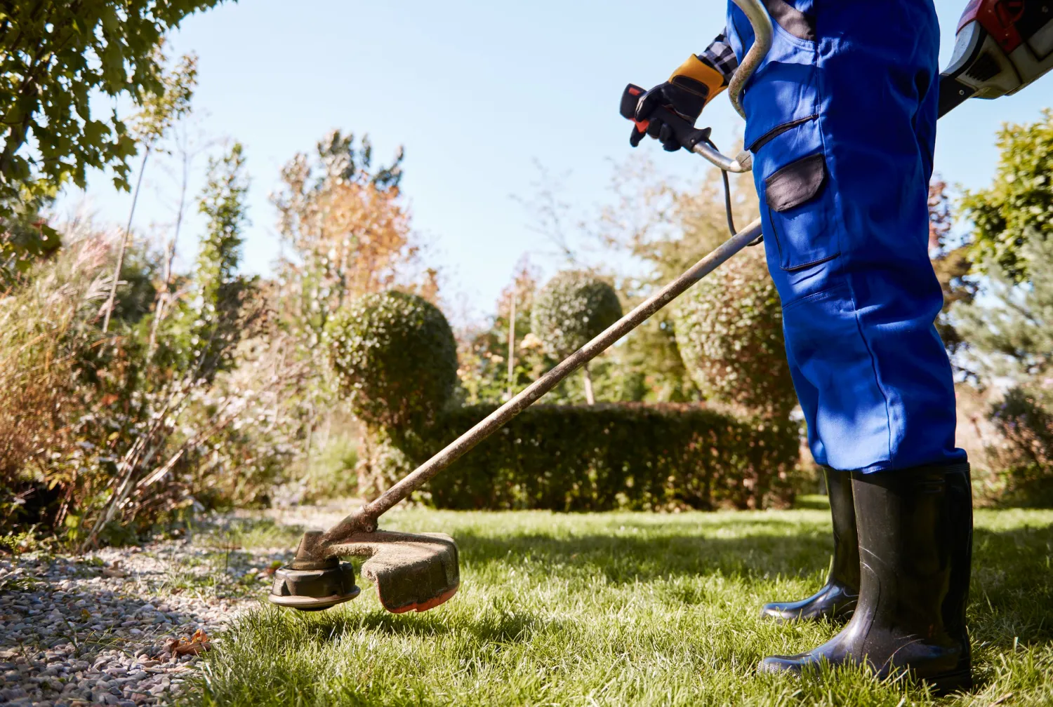 professional lawn care