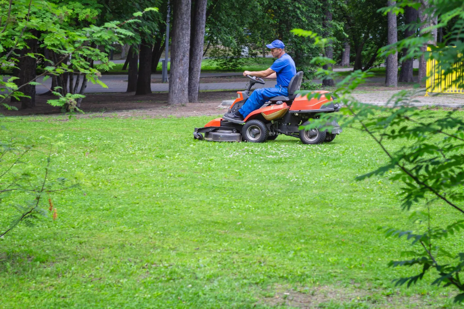 Common misconceptions about professional lawn care