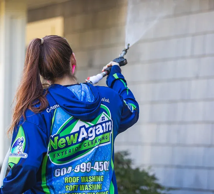 Professional house cleaning in Surrey