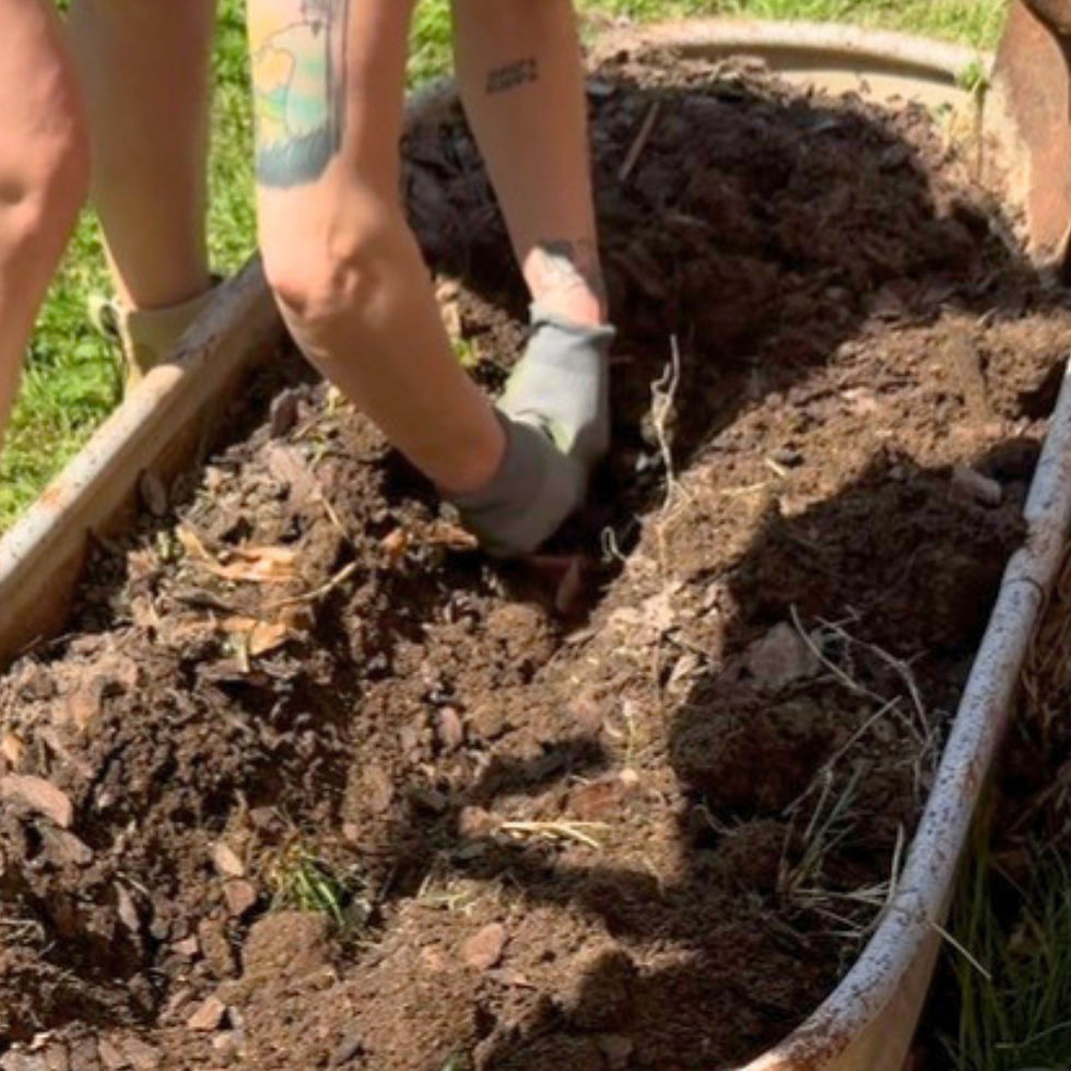 Summer Garden: Getting Started (The RGJ Way)