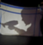spectacle baleine