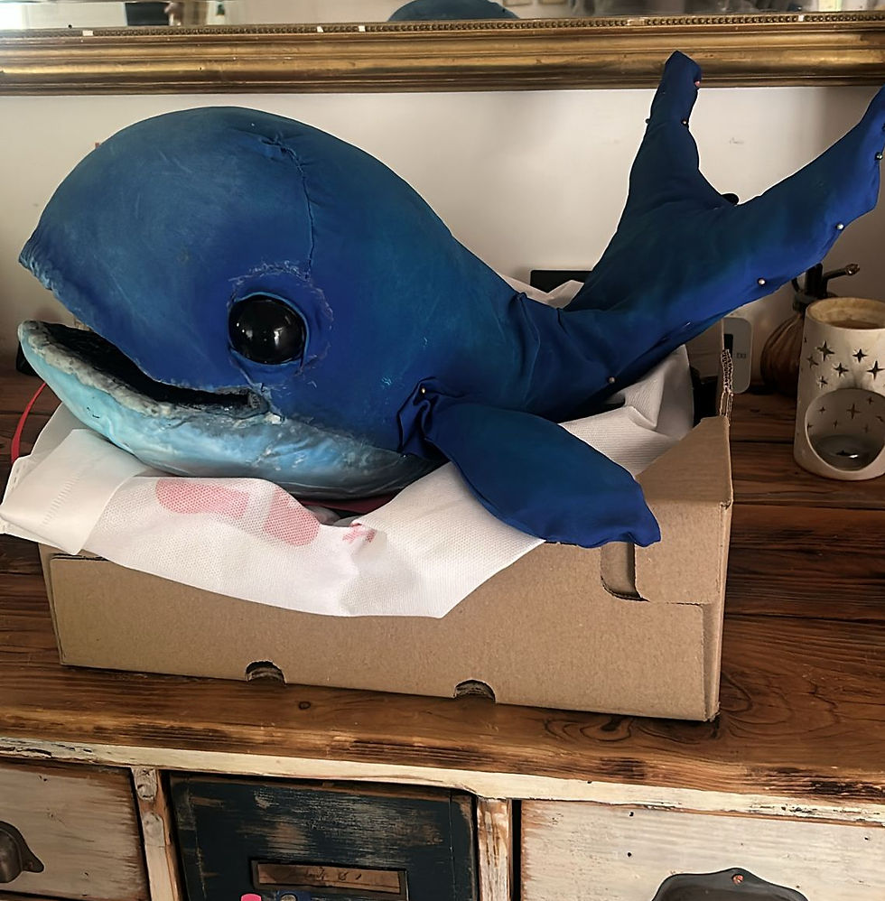 Baleine