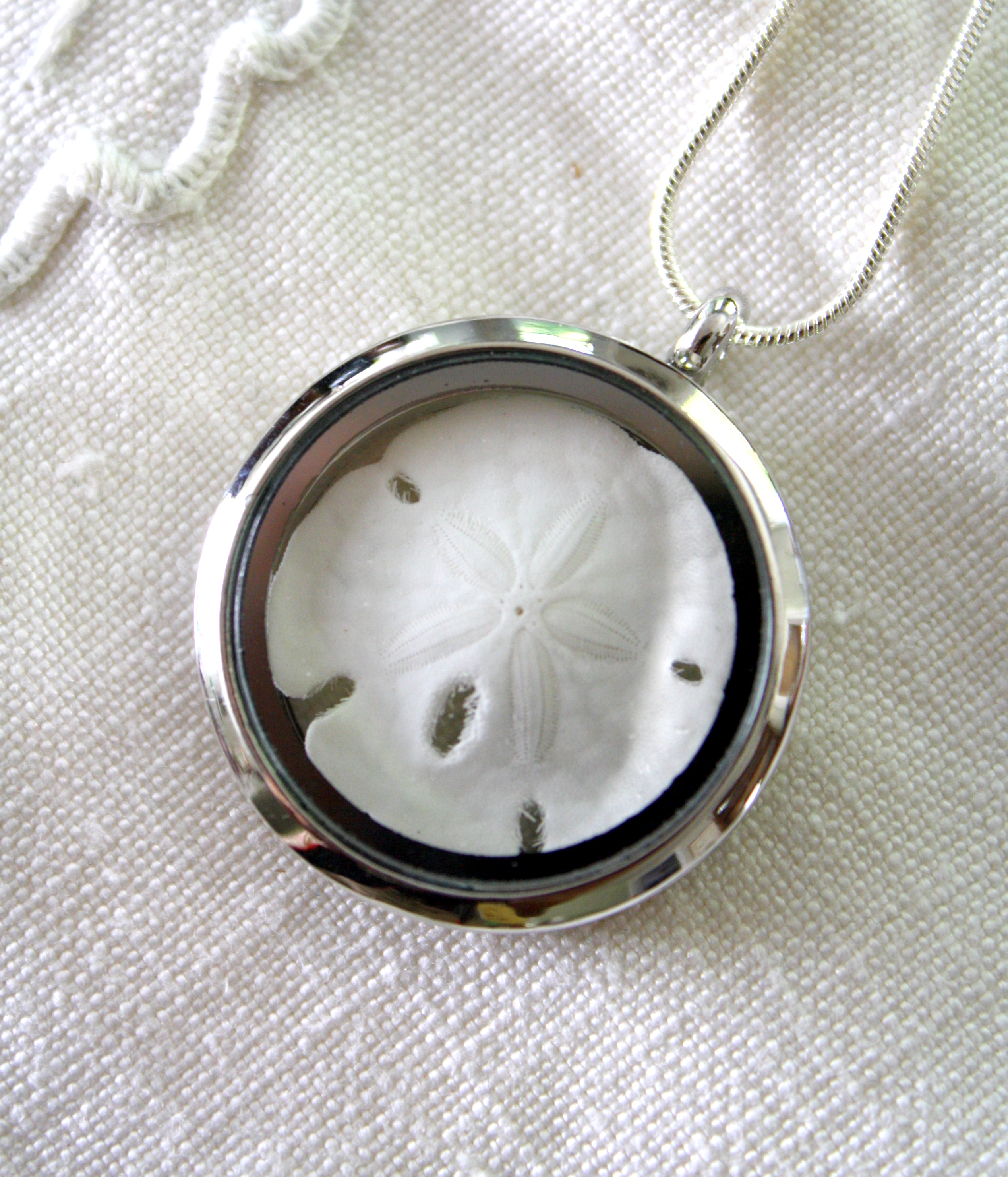 Loquet dollar des sables-Sand dollar locket