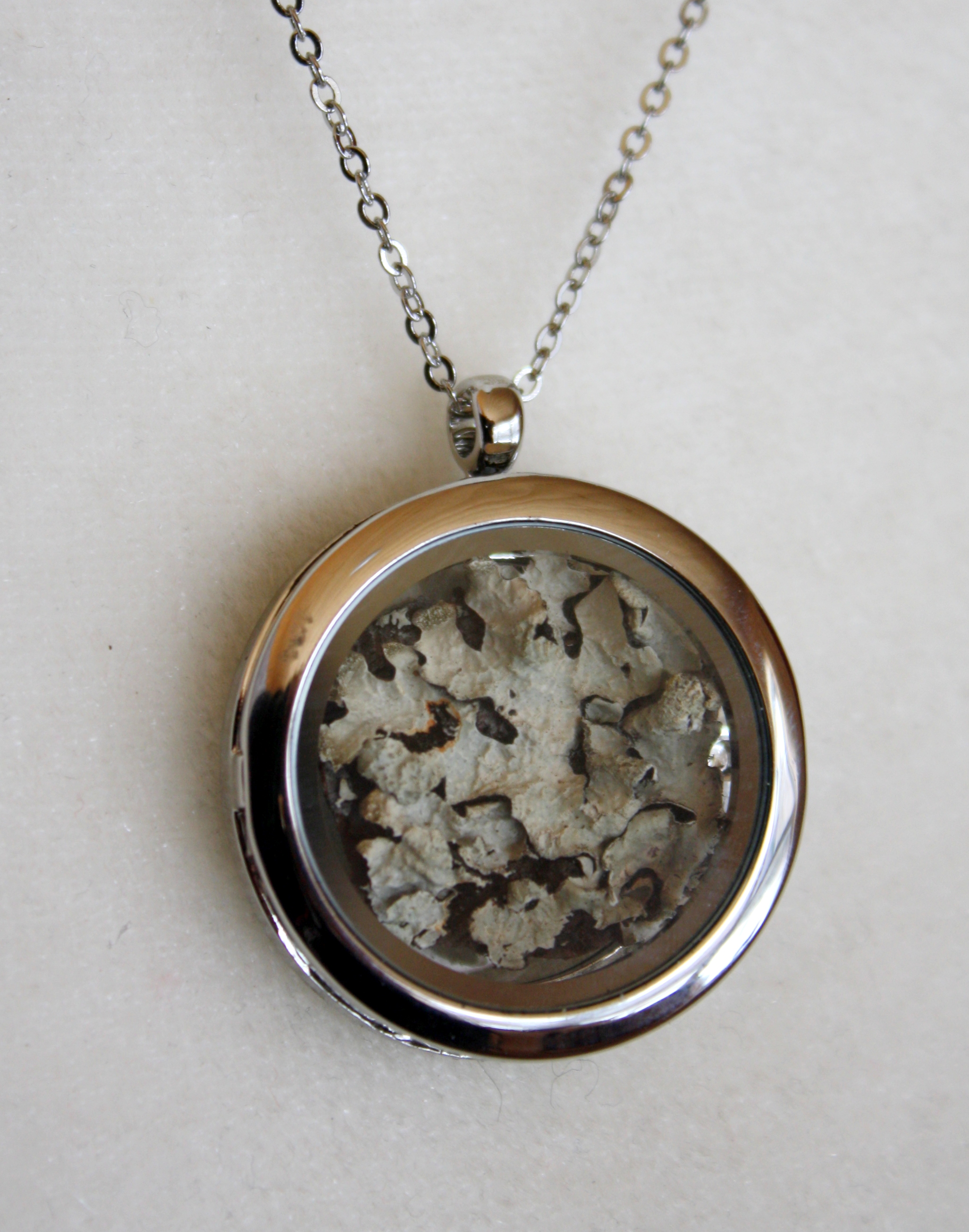 Loquet lichen foliacé-Foliose lichen locket