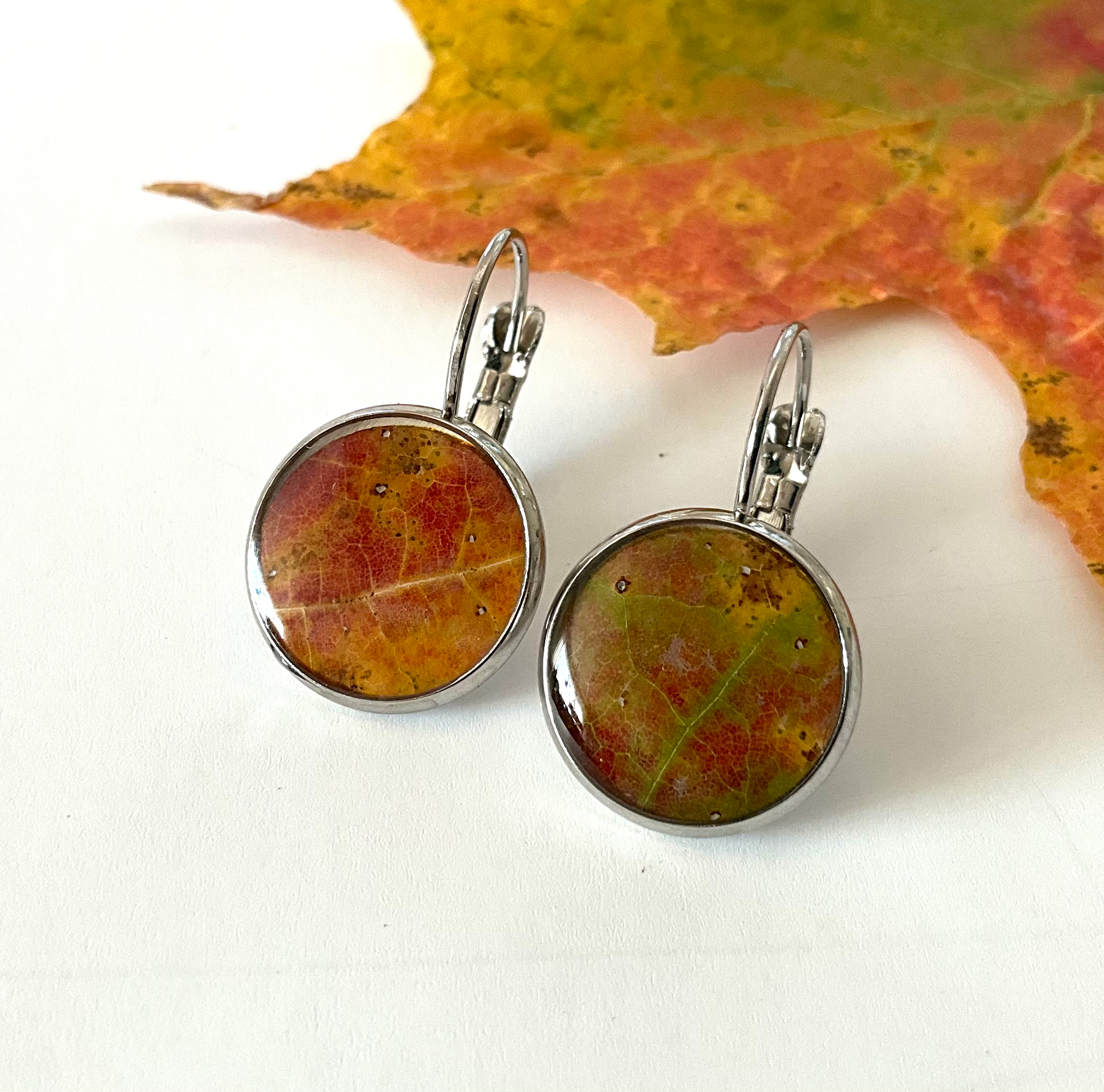 Boucles d'oreilles feuille d'érable à sucre-Sugar maple earrings