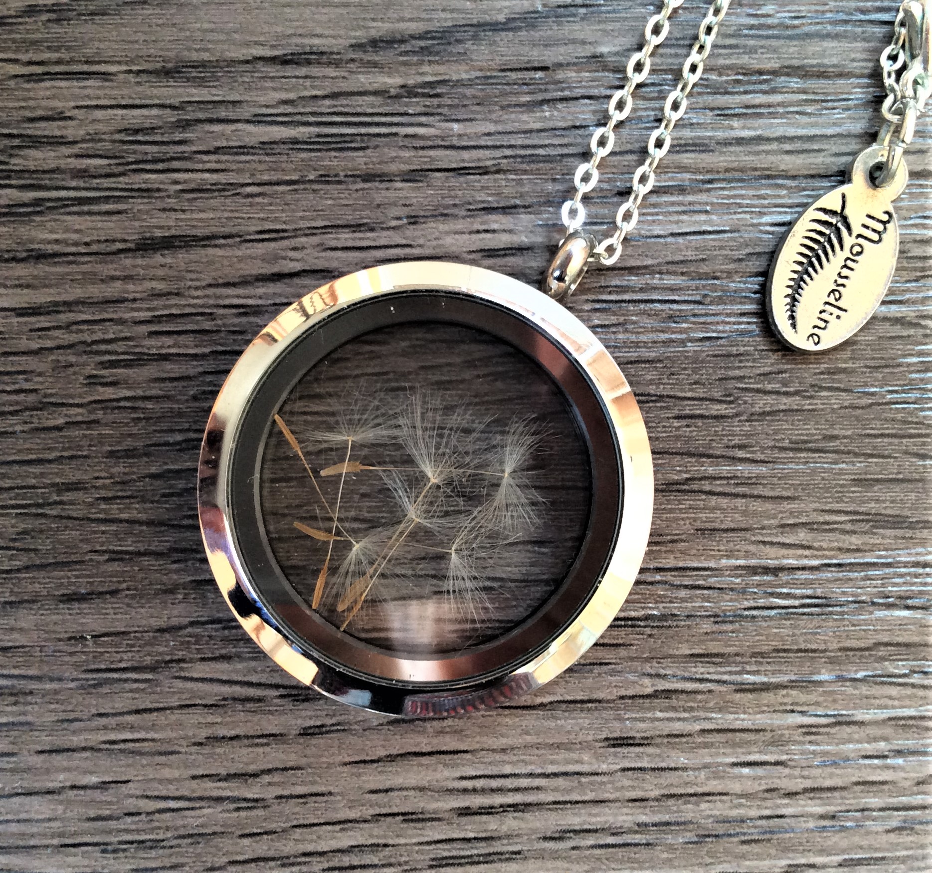 Loquet graines de pissenlit-Dandelion seeds locket