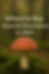 Guide where to Buy Amanita Mushroom