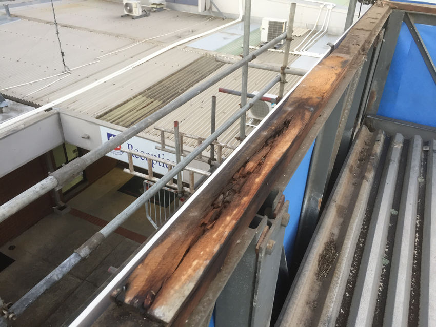 Carine Senior High School (Before)