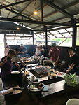 IMG_0368.jpeg