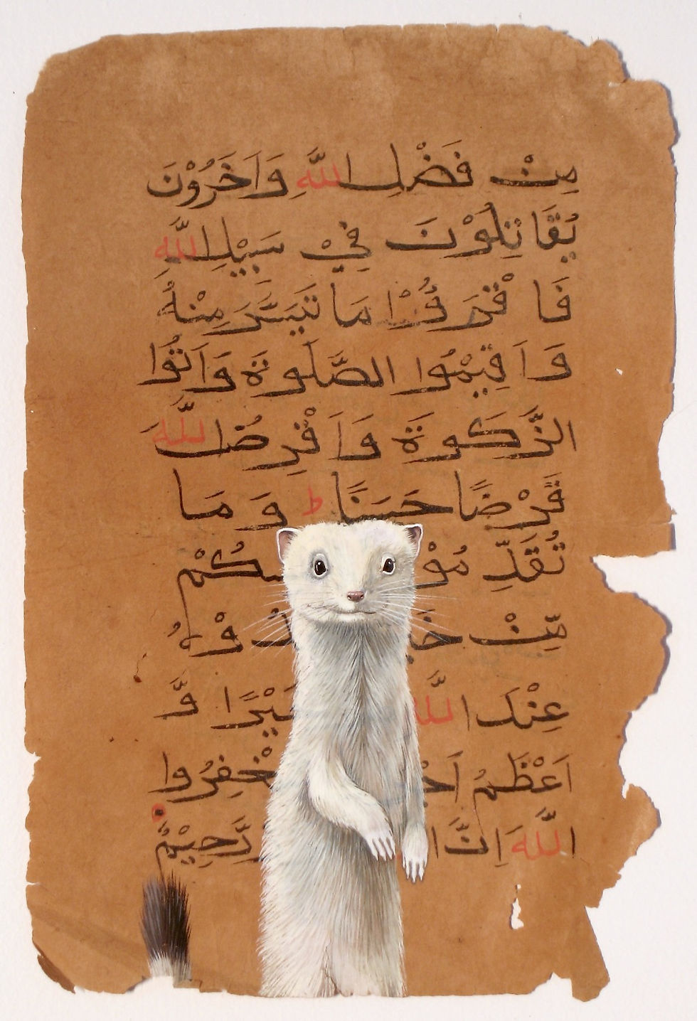 “W” is for… (Weasel)