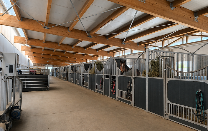 Heller und sauberer Pferdestallgang.png
