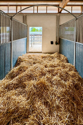 Gut beleuchteter, ordentlicher Stallbereich.png