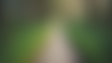 Which Position to Take When Two People Oppose In Disparagement & Praise?