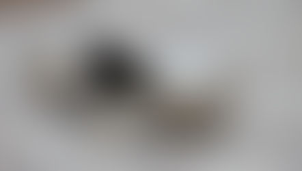 Fasting Falls into Different Categories