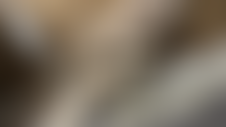 Favorite Fall Dried Grasses & Flowers to Decorate With