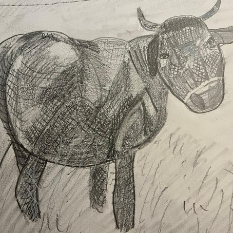 Week 8 "Animals"