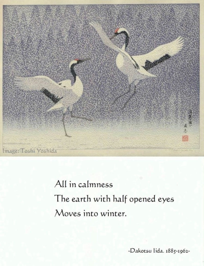 Winter blog at Vitality Garden Acupuncture