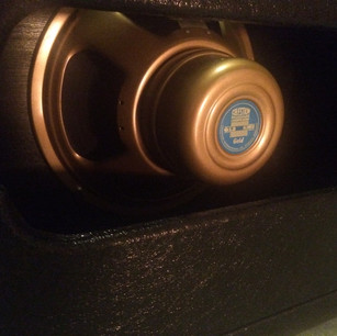 Custom 22 - Rear View of Speaker