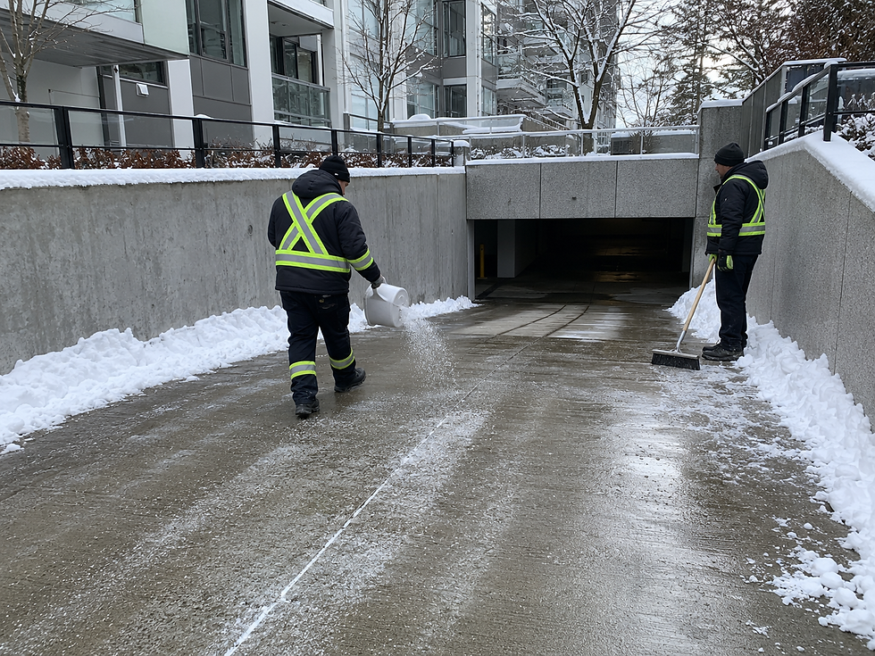 Worker clearing snow from a garage driveway while another spreads salt for safer access