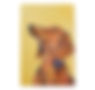 Sausage Dog for website-2.jpg