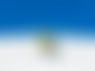 My Top 7 Outdoor Places for Branding Photography Sessions