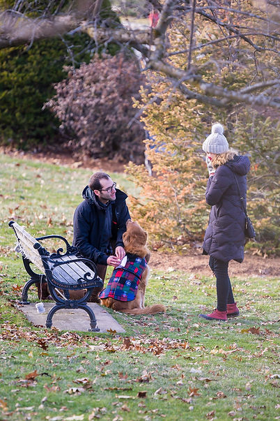 Vermont Proposal with Dog