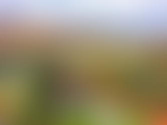 How to Make Your Airbnb Listing Stand Out in a Crowded Market