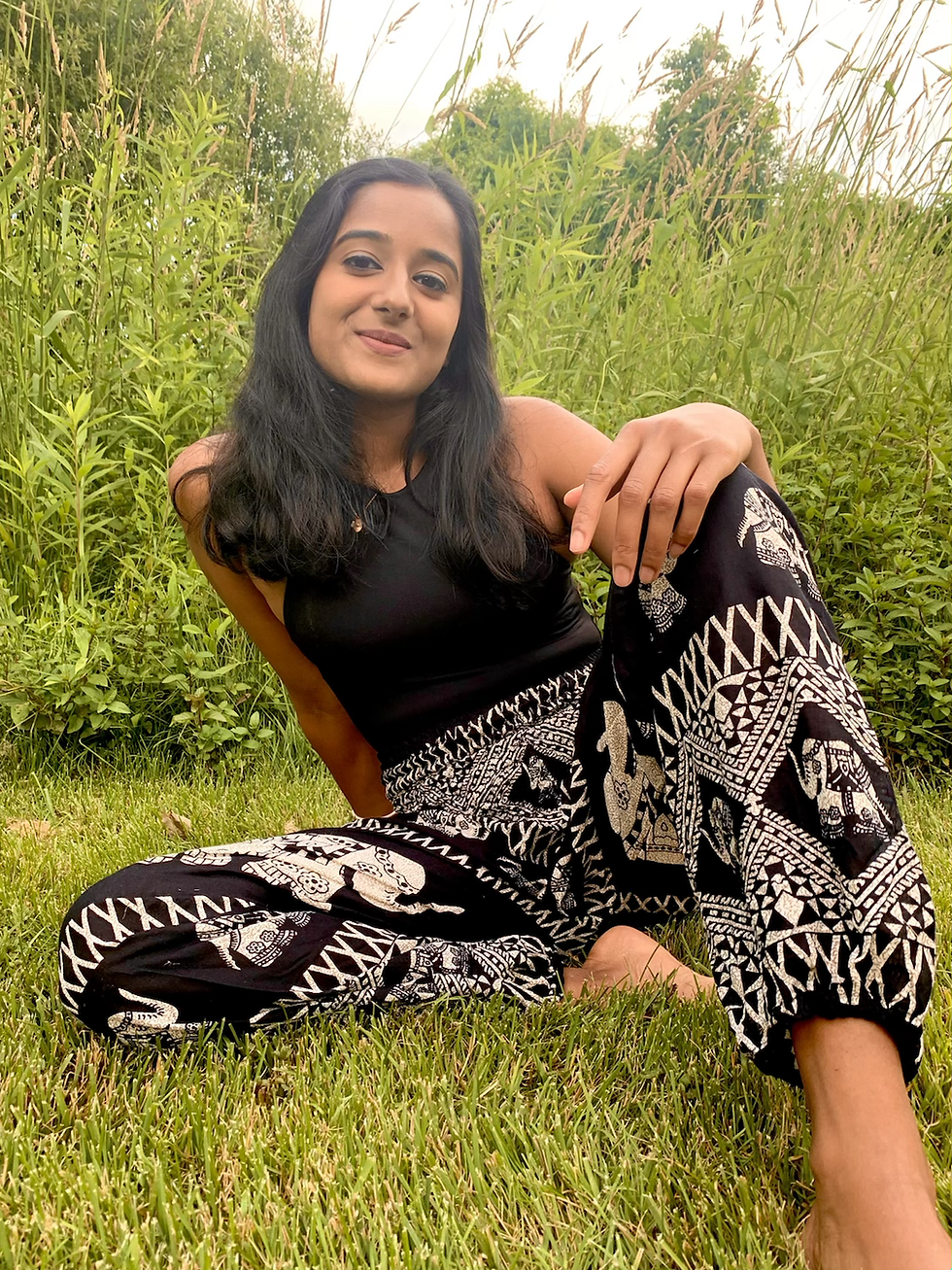 Thumbnail: काला शाही हाथी: Black Royal Elephant