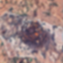 Specimen 2 (Edited).png
