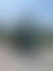 Malone Tedd-Air 840 Tedder