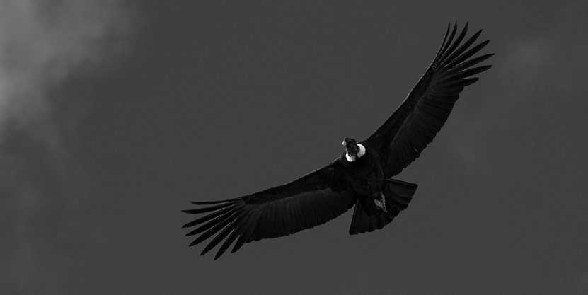 Canon EOS REBEL T3i058.jpg